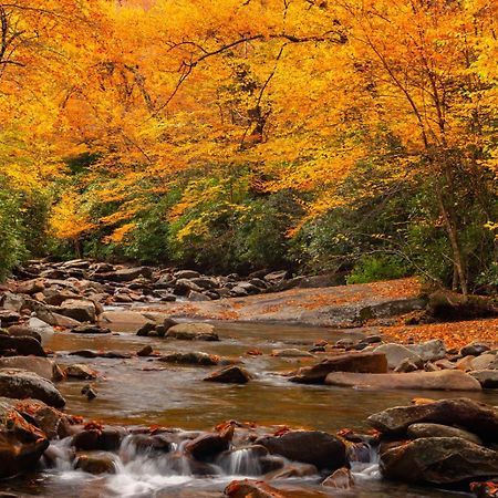 Romantic, Honeymoon Cabin In The Smokies! Гатлинбург Экстерьер фото