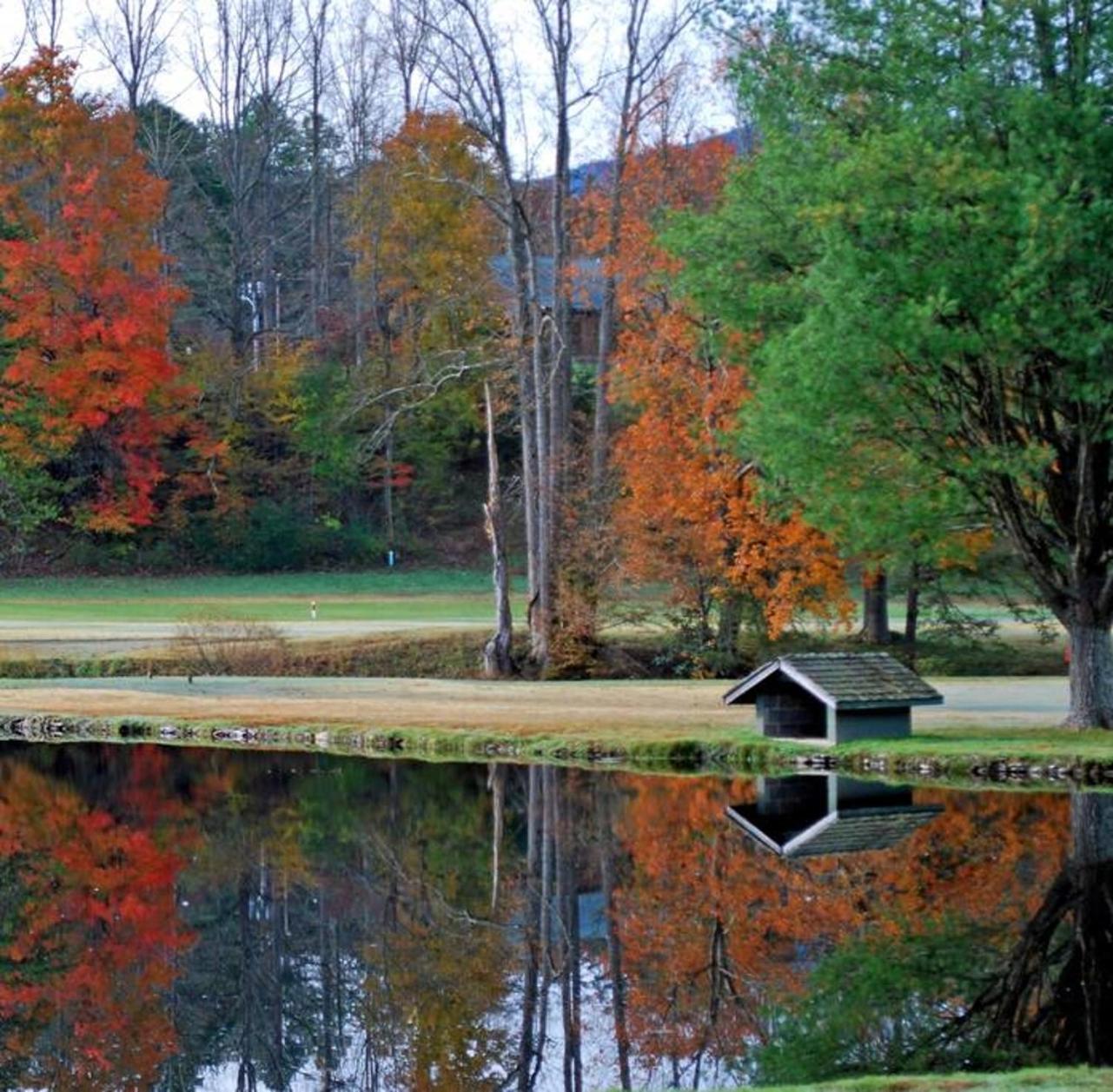 Romantic, Honeymoon Cabin In The Smokies! Гатлинбург Экстерьер фото