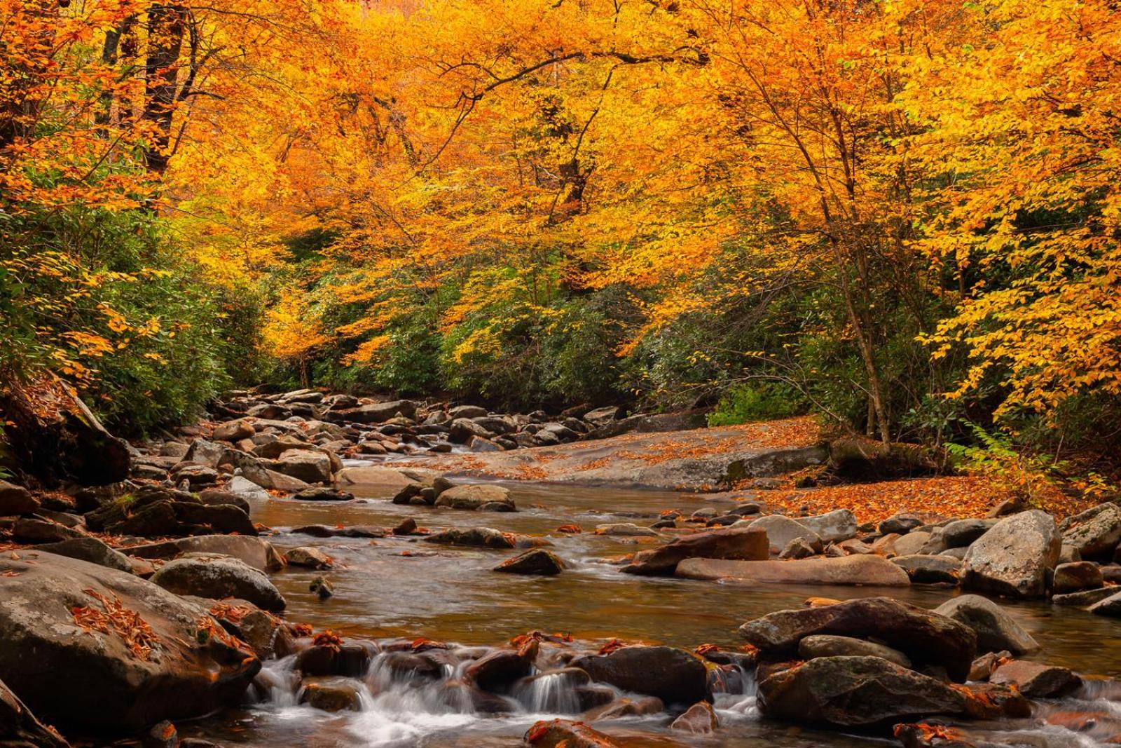 Romantic, Honeymoon Cabin In The Smokies! Гатлинбург Экстерьер фото